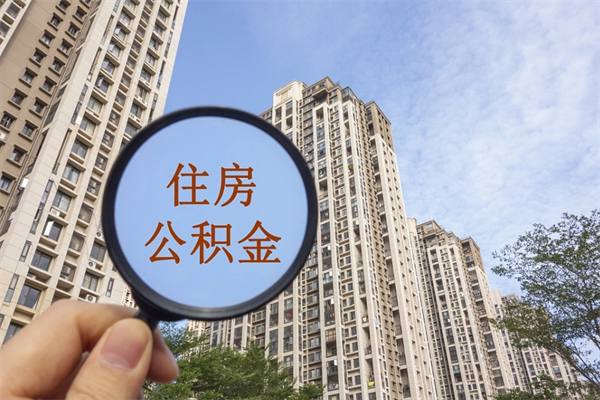 高安公积金代办（高安公积金代办费用是什么意思）